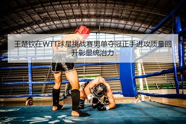 王楚钦在WTT球星挑战赛男单夺冠正手进攻质量回升彰显统治力